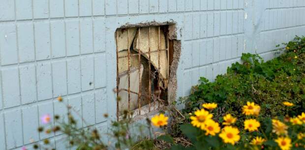 Жители дома в центре Барнаула пожаловались на зловоние из подвала