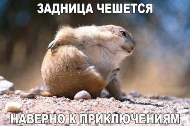 false