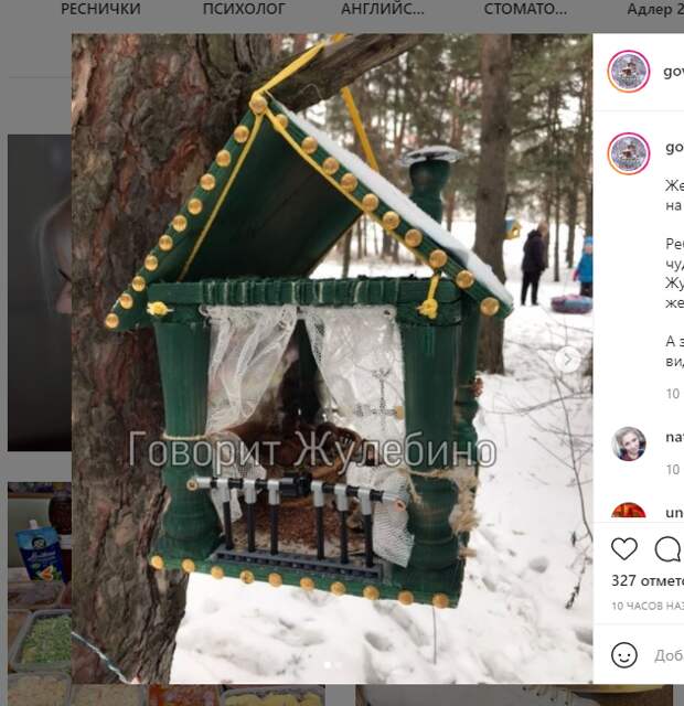 Фото дня: из Жулебинского леса украли особняк для белок