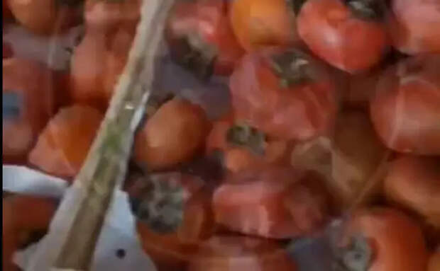 Гнилые фрукты и дети за кассой: мигрант под Челябинском устроил помойку в ларьке