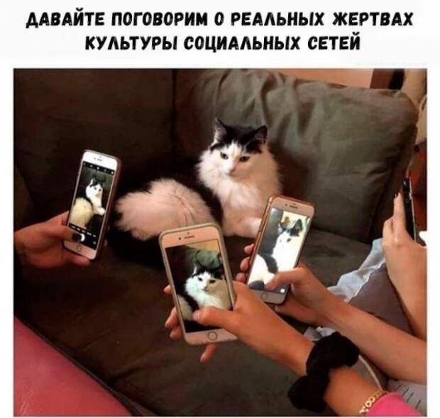 Картинки и мемы для настроения