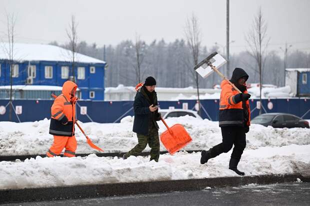 Бывшие российские полицейские легализовали почти 2,5 тысячи иностранных граждан
