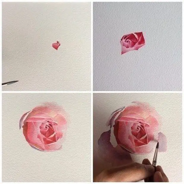   : -