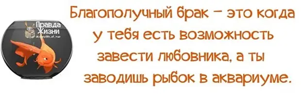 Идеальный брак это когда. Благополучный брак. Брак это когда. Брак благополучный это сто. Ты красивая умная добрая.