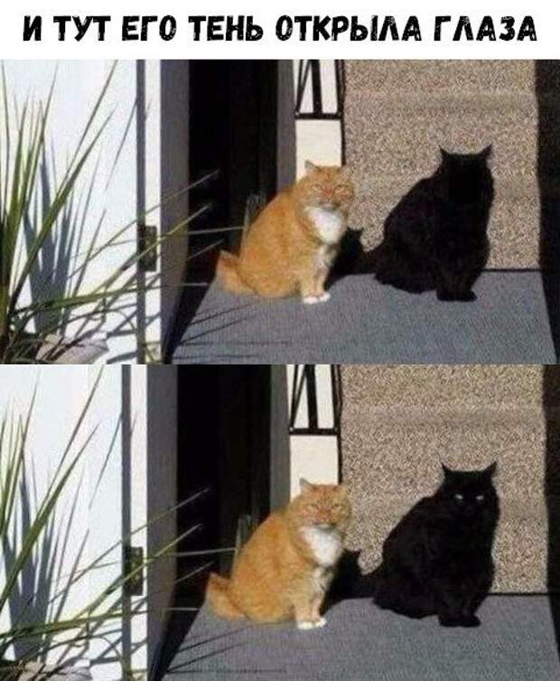 И тут он как то. И тут он как то. Лучший мем кто здесь. Че тут думать надо брать. Кот пришел.