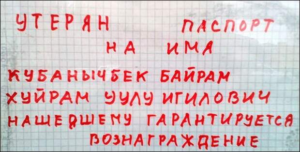 Картинки, юмор, приколы