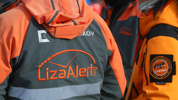 «ЛизаАлерт»: количество заявок о пропаже детей в 2025 году выросло на 2 тысячи