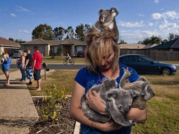 17075787_original (700x524, 453Kb)