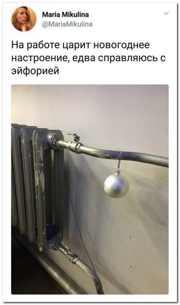 1514064221177614367.jpg