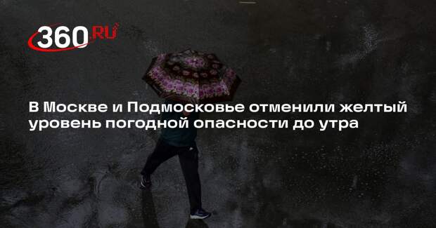 В Москве и Подмосковье отменили желтый уровень погодной опасности до утра