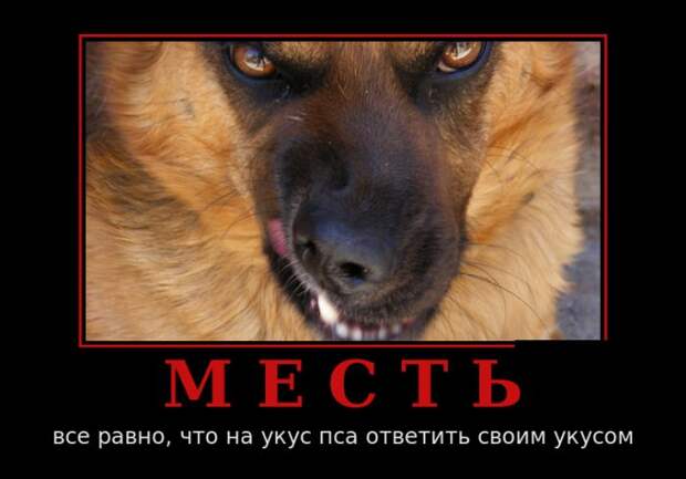 Демотиваторы (30 фото)