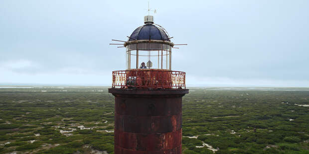 Документальные фильмы о природе — что смотреть на XI международном фестивале «Разумный кинематограф»