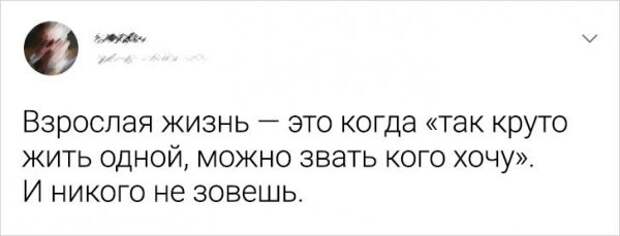 твит про взрослую жизнь