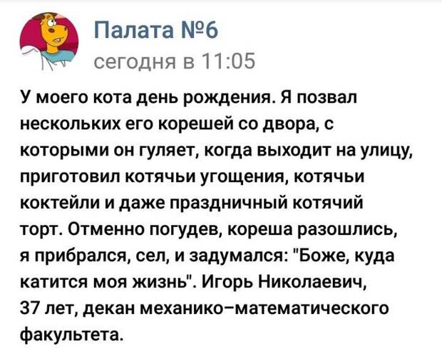 Идеальный день рождения