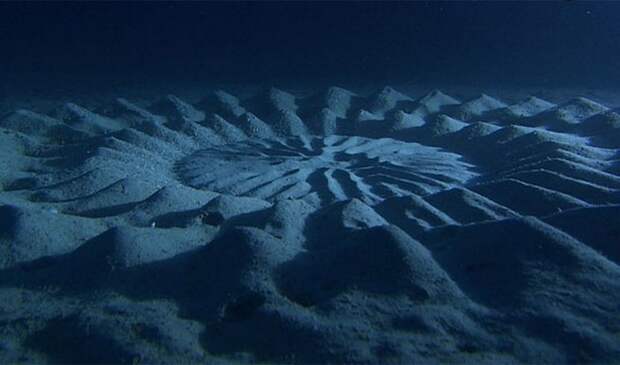Невероятное природное явление: подводные круги на дне.