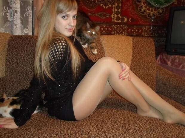 Без кота и жизнь не та Без кота и жизнь не та