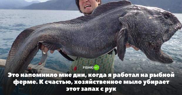 Мужские откровения: "Что я почувствовал, когда впервые увидел вагину" Мужские откровения: "Что я почувствовал, когда впервые увидел вагину" вагина, влагалище, откровения, первый секс