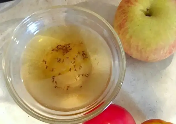 Бытовые хитрости от опытных хозяек