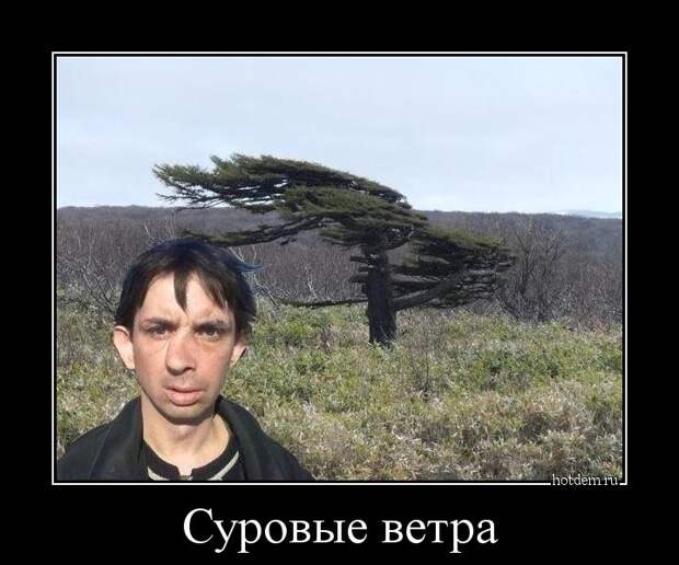 Суровые ветра демотиватор, прикол, юмор