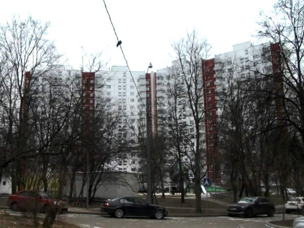 Криминальный сценарий для семьи режиссера