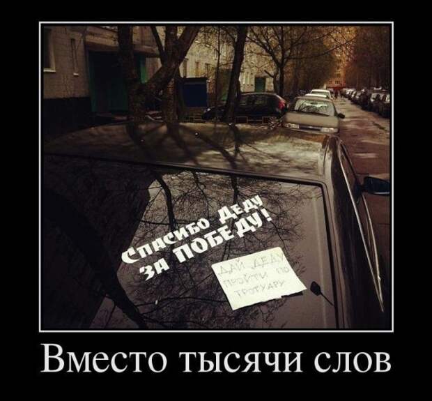 Демотиваторы (30 фото)