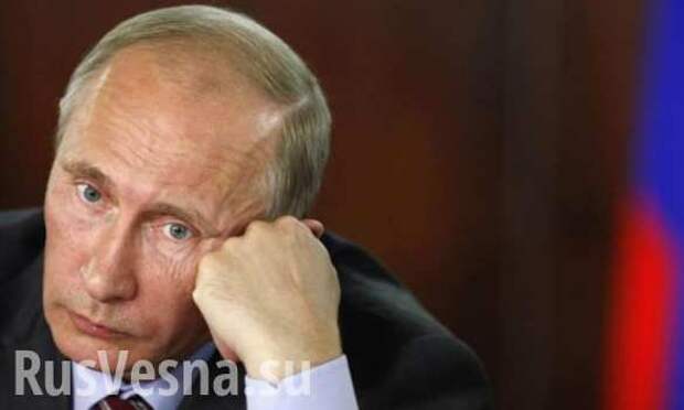 Опытный Путин подождет, пока Трамп сделает первый ход, — Time | Русская весна