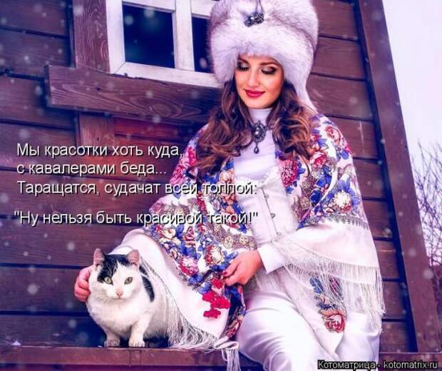 Лучшие котоматрицы недели (50 фото)