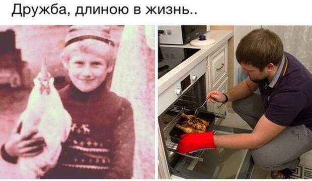 Прикольные картинки