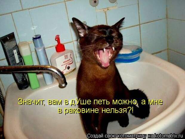 Мысли вслух :)