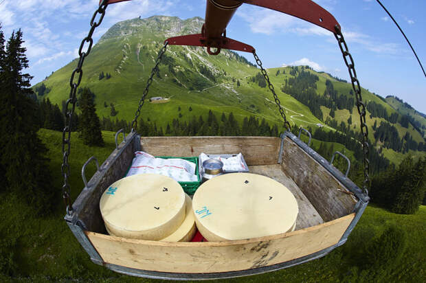 Gruyere17 Как в Швейцарии делают сыр Грюйер