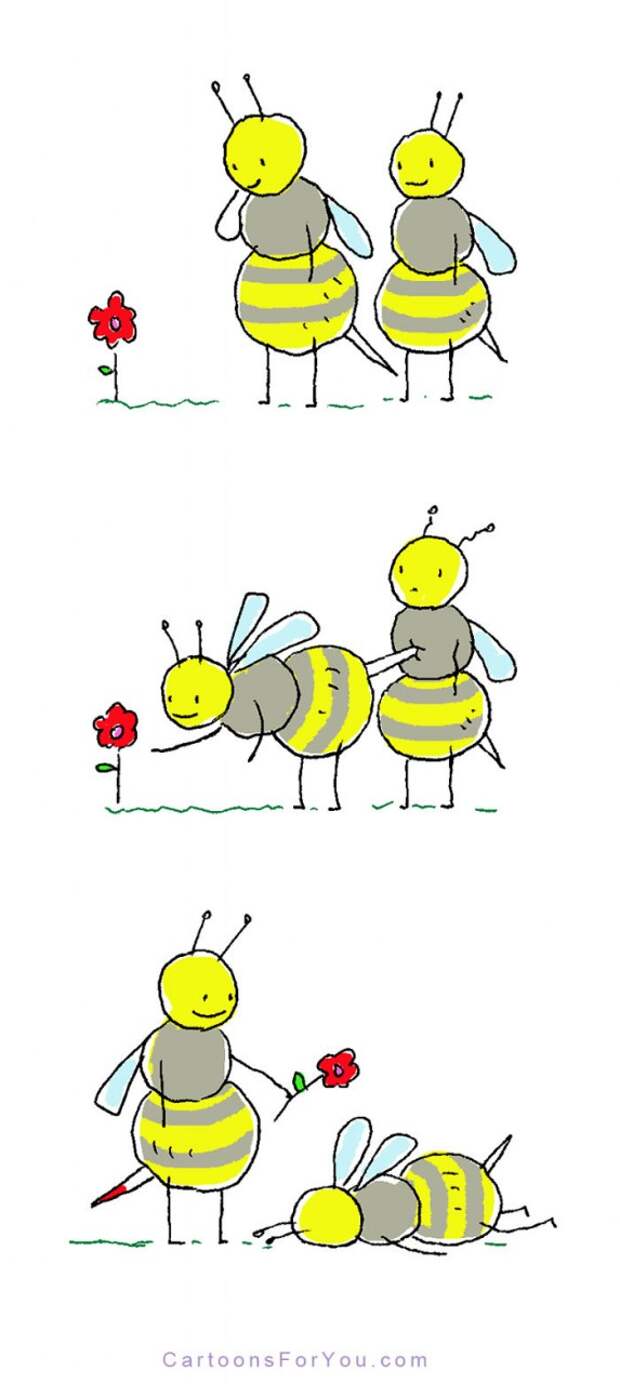A Few Animal Cartoons By Jim Benton