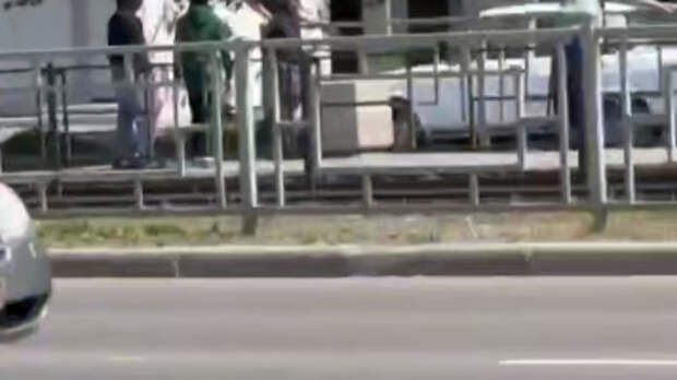 Кадр из видео / Источник: 