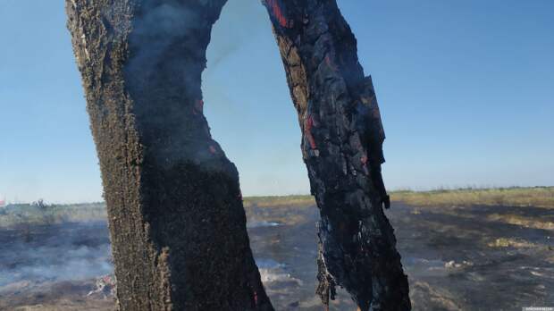 В Астраханском заповеднике столкнулись с пожаром невиданного масштаба