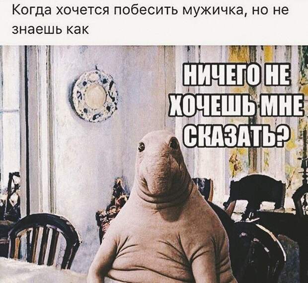 Столкновение с фундаментальной женской логикой, против которой нет оружия женская логика, смешно, типичная девушка, фото