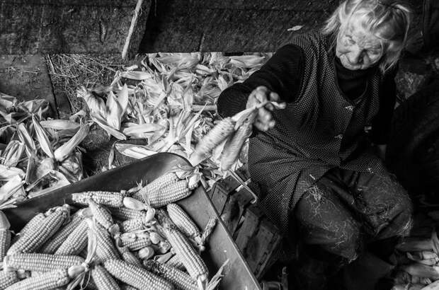 Внучка отсняла один день из жизни бабушки и поразилась ее энергии бабушка, деревня, ферма