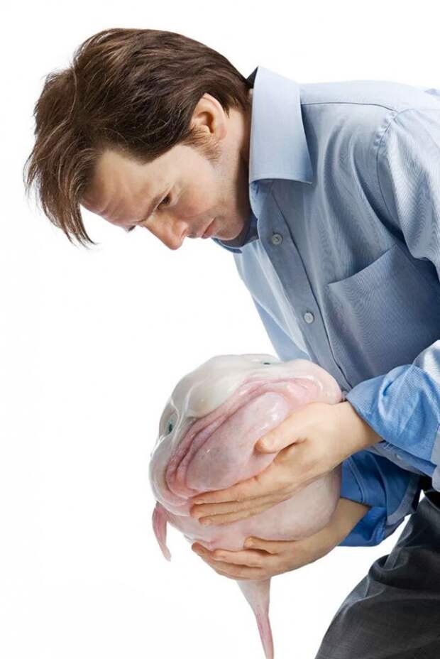 Обеспокоенный мужчина держит грустную рыбу