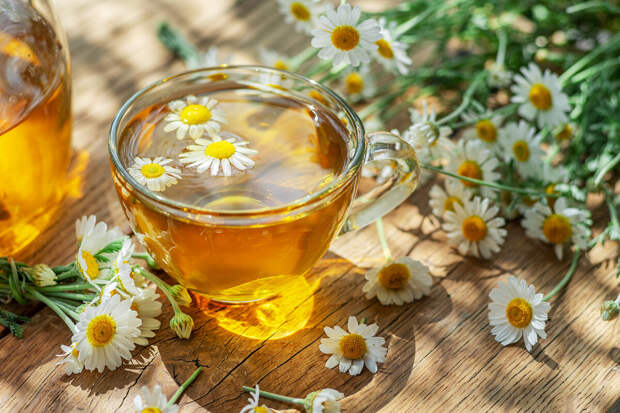 Врач Чернышова: чай с имбирем может навредить здоровью при ОРВИ