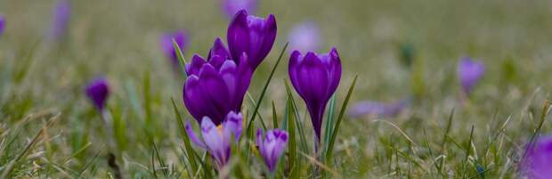 До +27 и загрязнение воздуха: погода в Алматы 4 апреля