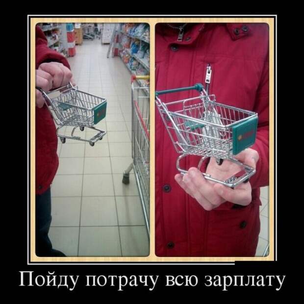 Демотиваторы