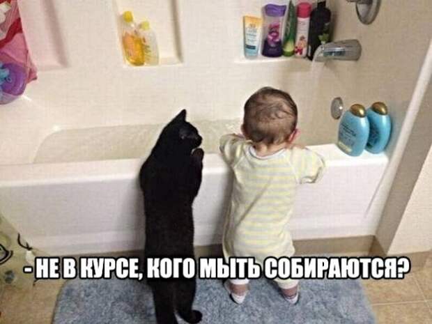 Картинки с надписями, истории и анекдоты