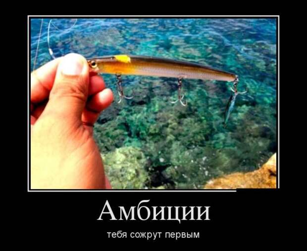 Демотиваторы - 993 Демотиваторы - 993