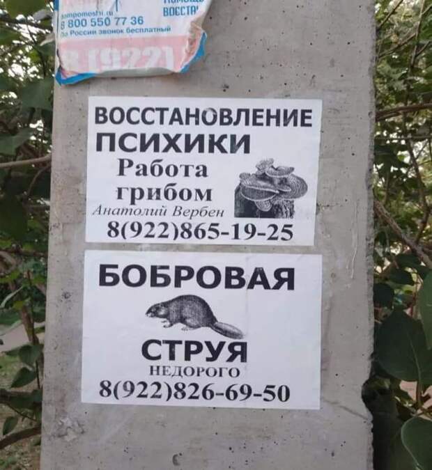 Объявления, которые могли придумать только люди из России