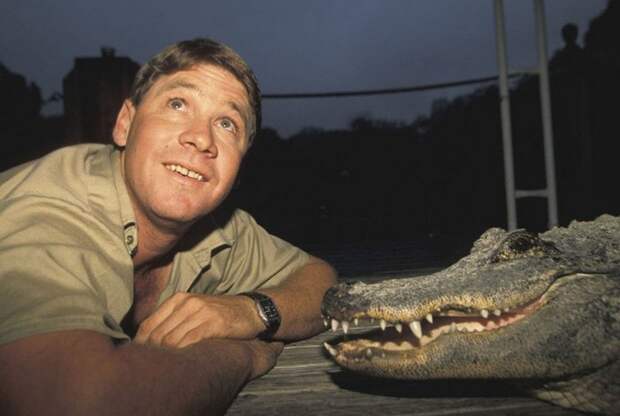 Стив Ирвин : Секреты гибели "охотника на крокодилов"