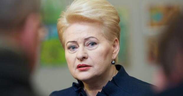 Литва: ЕС не готовится к созданию единой армии