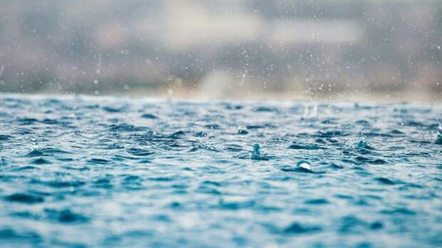 Дожди, грозы, похолодание. Синоптик рассказала, какая погода будет на Алтае до 27 мая