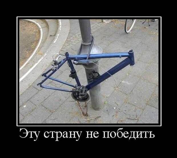 Демотиваторы (30 фото)