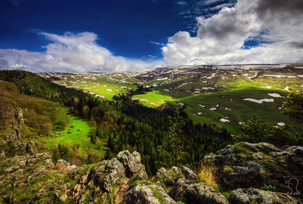 Плато Лаго-Наки на Западном Кавказе