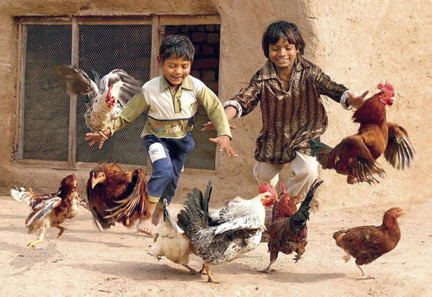 Индийские мальчишки резвятся Дети Мира, подборка, подборка фото, фото