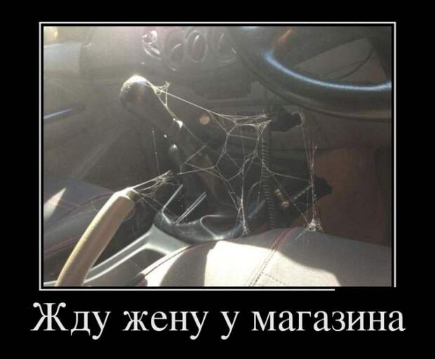 Демотиваторы (30 фото)