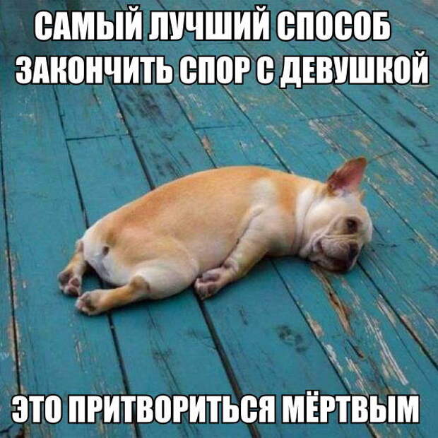 Картинки с надписями мем, прикол, юмор
